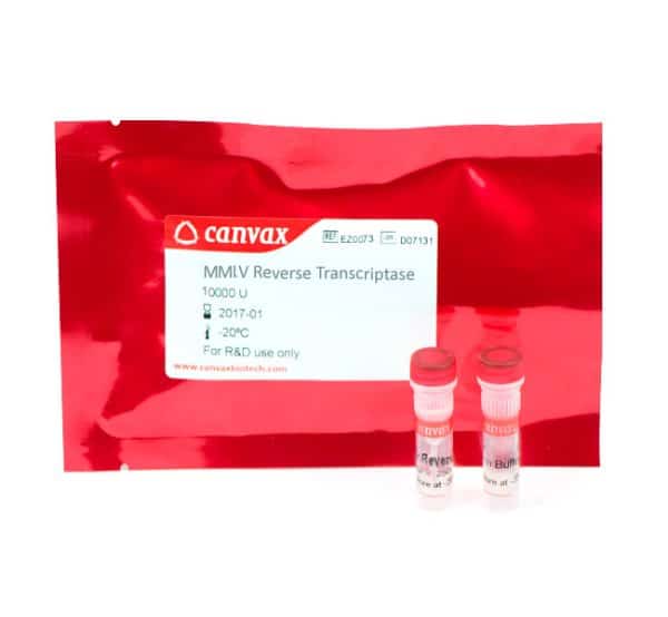 M-MLV Reverse Transcriptase Moloney Murine Leukemia Virus enzyme buffer for  cDNA synthesis 9068-38-6