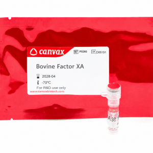 Bovine Factor Xa – Canvax protease for recombinant protein cleavage