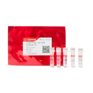 M-MLV Reverse Transcriptase Moloney Murine Leukemia Virus enzyme buffer for  cDNA synthesis 9068-38-6